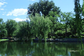 公园风景  