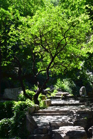 公园风景  
