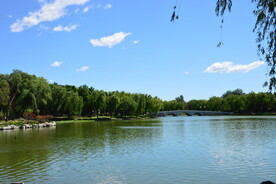 公园风景  