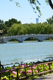 公园风景 