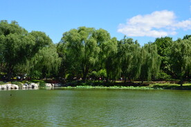 陶然亭风景  