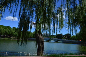 公园风景  