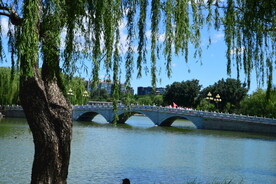 陶然亭风景 