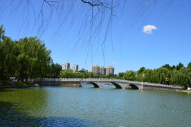 公园风景   