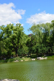 公园风景  