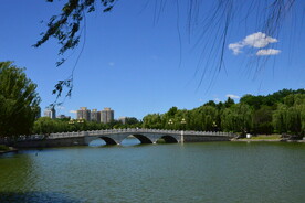 公园风景  