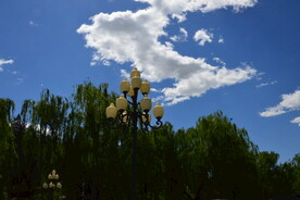 公园风景  