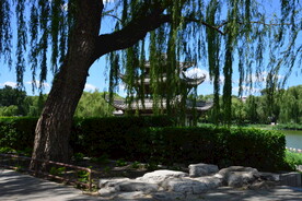 陶然亭风景  