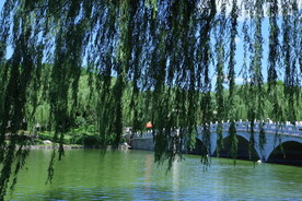 公园风景 