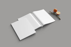 宣传册样机