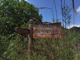 峡谷荒野指路牌