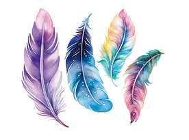 卡通彩色羽毛