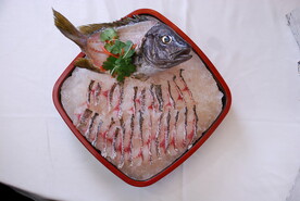 冰镇鱼片 海鲜刺身 