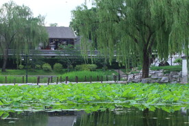 公园风景  