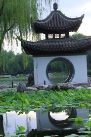 公园风景  