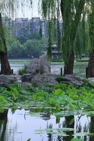 公园风景 