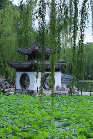 公园风景 