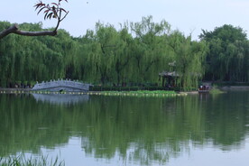 公园风景  