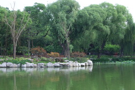 公园风景  