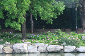公园风景  