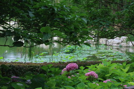 公园风景 