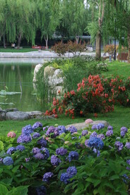 公园风景 