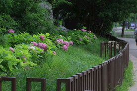 公园风景  