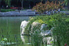 公园风景 