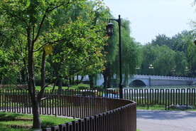 公园风景 