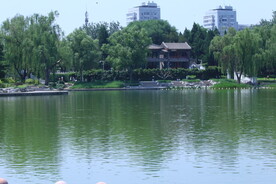 公园风景 
