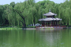 公园风景  
