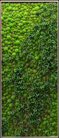 C4D模型 绿色植物