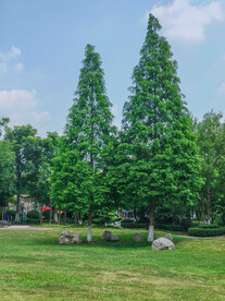 蓝天白云绿树