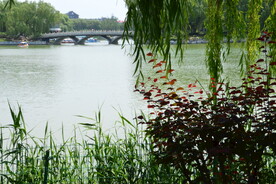 公园风景  
