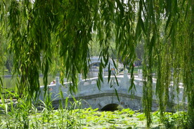 公园风景 