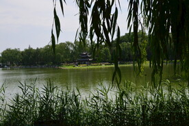 公园风景  