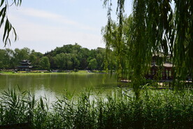 公园风景 