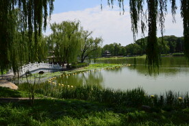 公园风景 