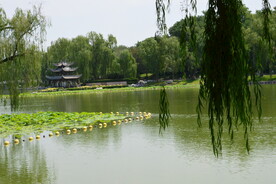 公园风景  