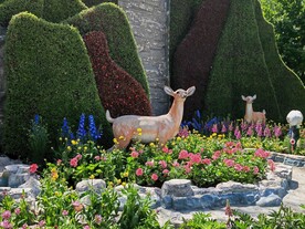 公园风景  