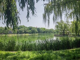 公园风景  