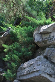 公园风景  