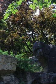 公园风景  
