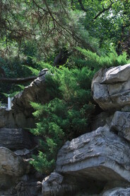 公园风景 