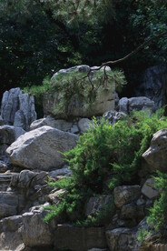 公园风景  