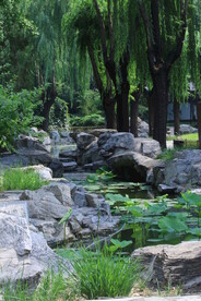 公园风景  