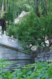 公园风景  