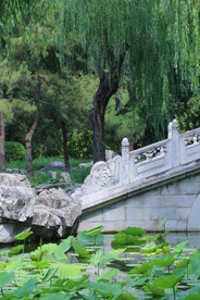 公园风景 