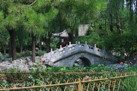 公园风景  