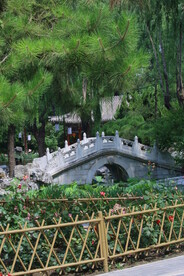 公园风景  
